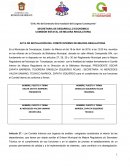 Acta de instalación del comité interno de mejora regulatoria