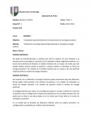 Comprobar experimentalmente la conservación de la energía mecánica