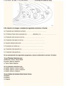 Evaluación ciencias naturales 3° A componentes del sistema solar.
