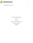 Introducción3 ¿Por qué es importante la contabilidad?4