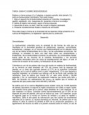 TAREA: ENSAYO SOBRE BIODIVERSIDAD.