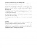 SISTEMAS DE INFORMACION EN EL AREA DE PRODUCCION