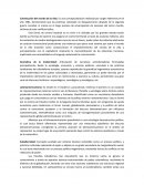 Colonización del mundo de la vida: Es una conceptualización realizada por Jurgen Habermas en el año 1981