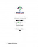 INGENIERÍA COMERCIAL.