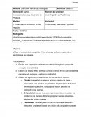 Creatividad: naturaleza y proceso