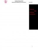 Laboratorio N°2 Movimiento oscilatorio