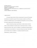 INFORME MENSUAL - LABOR TECNICA.