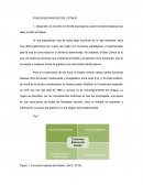 FUNCIONES BÁSICAS DEL ESTADO.