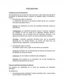 Articulaciones de los huesos.