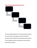 Procesos de Exportación de la uva.