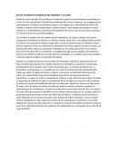 Resumen Modelacion numerica.