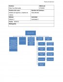 Modelo de negocios y Cadena de valores