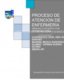 Proceso enfermero apendicitis