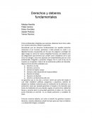 Derechos y deberes fundamentales.