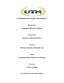 Ensayo de juicio político en honduras.