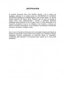 El presente documento tiene como finalidad informar y dar a conocer los resultados obtenidos de la práctica clínica de ENFERMERIA EN CUIDADOS INTENSIVOS