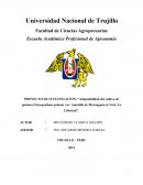 Adaptabilidad del cultivo de quinua (Chenopodium quinoa) var. Amarilla de Maranganí en Virú, La Libertad