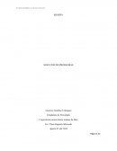 RESEÑA -SOLUCION DE PROBLEMAS