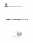Trabajo de investigacion rio Choapa.