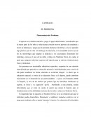 El deporte en el ámbito educativo