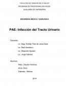 Proceso de atención de enfermería DEL TRACTO URINARIO.