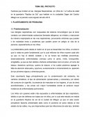 Factores que inciden en las Alergias Respiratorias.