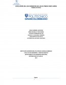 EVOLUCIÓN DE LOS CÁRNICOS EN LOS ÚLTIMOS 5 AÑOS