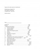 Impacto en las redes sociales.