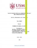 El caso del iPod y la línea de producto Agua San Luis