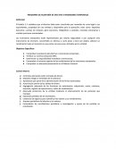 PROGRAMA DE AUDITORÍA DE EFECTIVO E INVERSIONES TEMPORALES