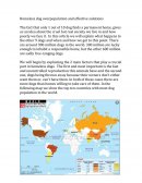 Analisis Investigaciones de un perro.