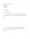 Informe Normas de seguridad electricas.