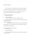 EL SISTEMA ENDOCRINO.