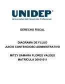 DIAGRAMA DE FLUJO. COMERCIO INTERNACIONAL