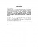 CAPITULO I TEMA Y ESQUEMA