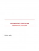 Perfil profesional de un ingeniero industrial.