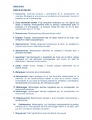 Terminos medicos (genitales )