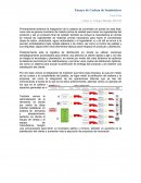 Ensayo de Cadena de Suministro Carlos Campos .