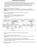 Tena: Farmacologia del aparato digestivo.