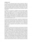 Bacrim desde kalyvas y weinstein.