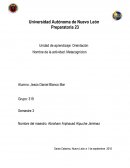 METACOGNICION DE ORIENTACION.