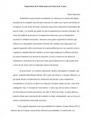 Importancia de la Motivación en la Fuerza de Ventas