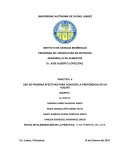 PRUEBAS EFECTIVAS EN YOGURT.