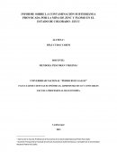 INFORME SOBRE LA CONTAMINACIÓN SUBTERRÁNEA PROVOCADA POR LA MINA DE ZINC