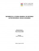INFORME DE LA TEORIA GENERAL DE SISTEMAS.