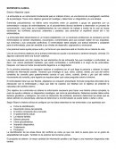 Resumen entrevista clínica L. Rossi