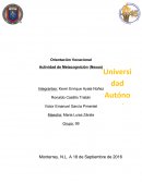 Tema- Actividad Metacognicion Orientacion.