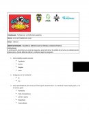 VALORAR EL IMPACTO QUE HA TENIDO LA MARCA EN NEIVA