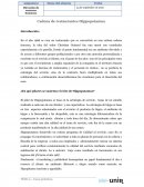 Cadena de restaurantes Hippopotamus