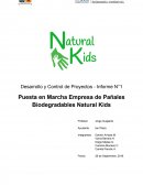 Desarrollo y Control de Proyectos: Planta de pañales Biodegradables.